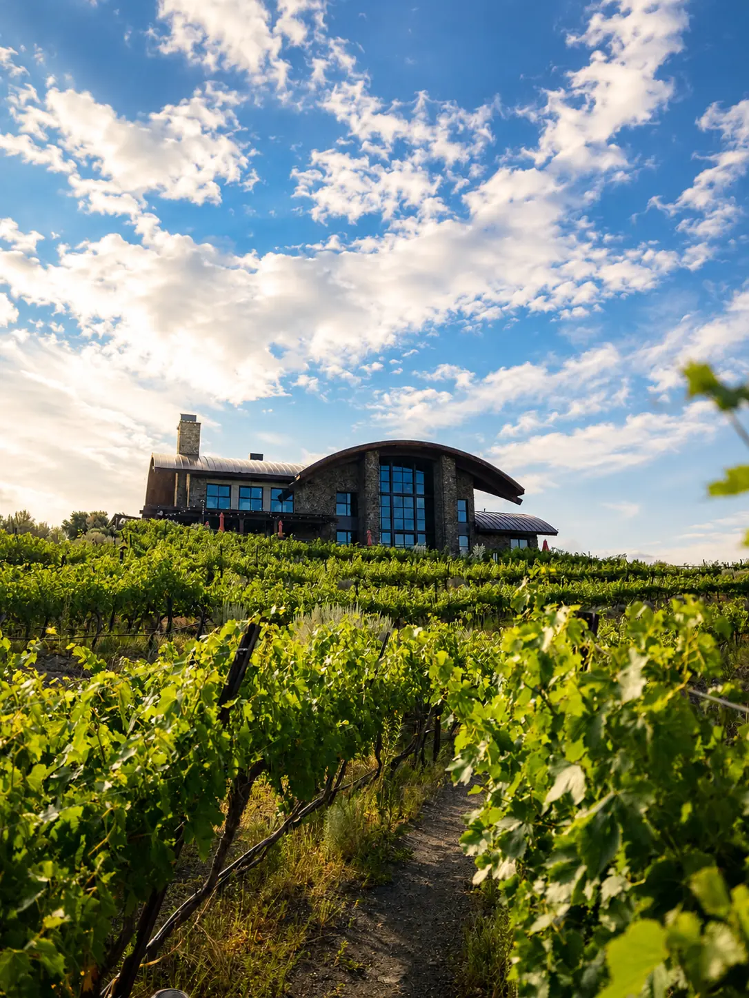 Sage Cliff Resort overlooking its vineyard beneath an open sky.
